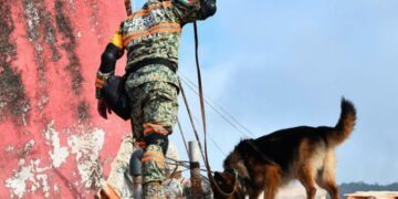 Estos son los 22 binomios caninos mexicanos que laboran en Venezuela por los sismos