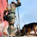 Estos son los 22 binomios caninos mexicanos que laboran en Venezuela por los sismos