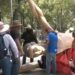 Maestros de la CNTE vandalizan figuras alusivas del Mundial 2026