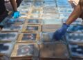 Aseguran 270 kilos de cocaína en el puerto de Manzanillo