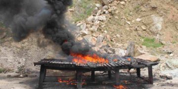Marina destruye tonelada y media de cocaína asegurada en Guerrero