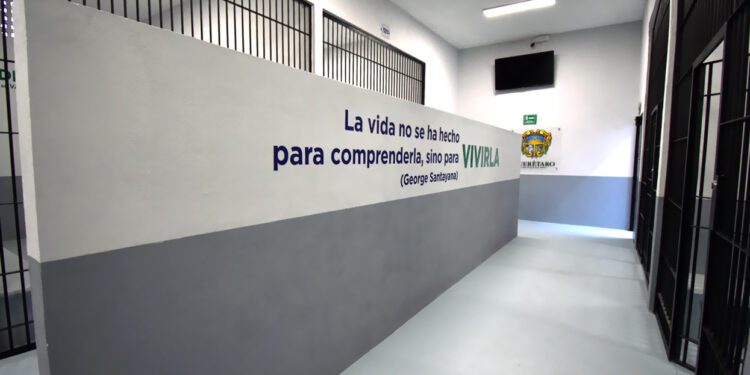Querétaro, entre los estados con mayor incidencia de adolescentes imputados por delitos en México: INEGI