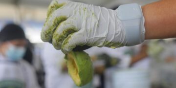 Jalisco establece un Récord Guinness del guacamole más grande del mundo
