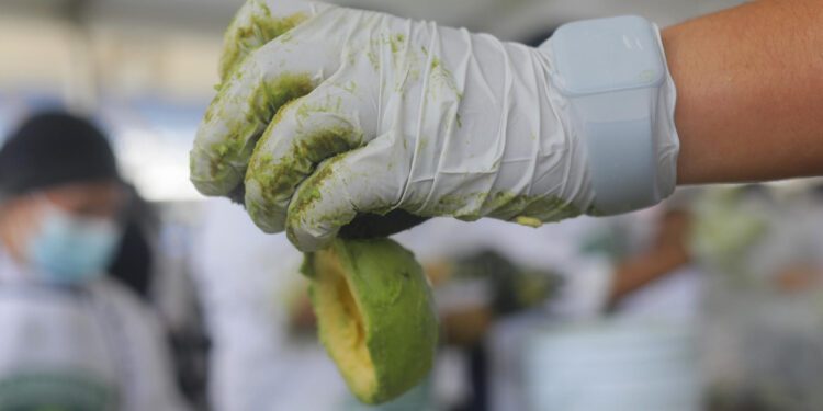 Jalisco establece un Récord Guinness del guacamole más grande del mundo