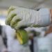 Jalisco establece un Récord Guinness del guacamole más grande del mundo
