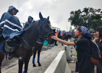 Harfuch reconoce actuación de policías en inauguración del Mundial