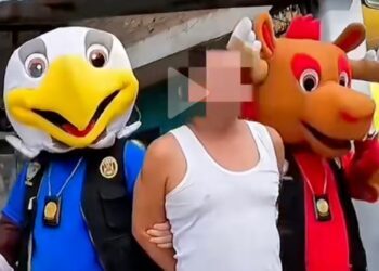 Policías de Perú se disfrazan de mascotas del Mundial para detener a un narcotraficante
