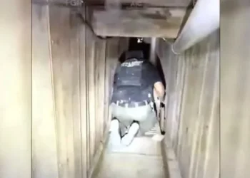 Hallan una tonelada de cocaína en EU ligada a narcotúnel
