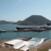 “¡Aquí no!”, pueblos indígenas en México anuncian toma de una planta de amoniaco