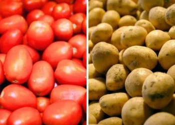 Disparan jitomate y papa costo de canasta alimentaria