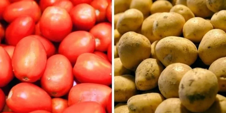 Disparan jitomate y papa costo de canasta alimentaria