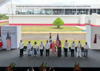 Abren México y EU planta contra gusano barrenador
