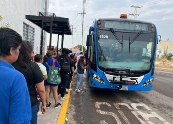 Suma Qrobus unidades a la ruta C51