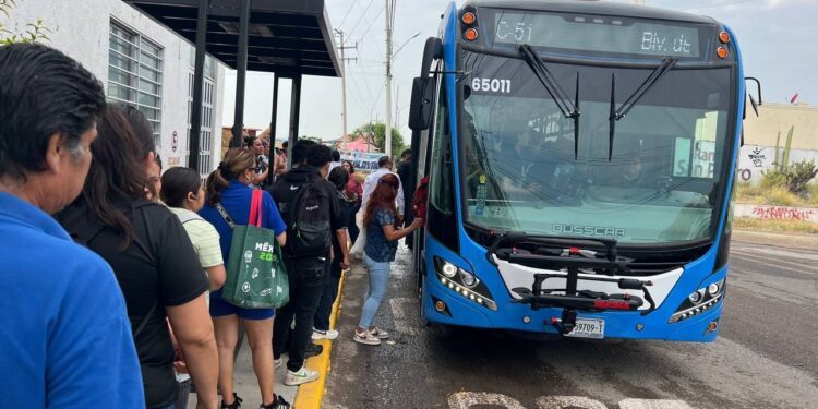 Suma Qrobus unidades a la ruta C51