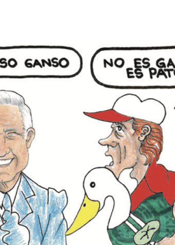 Me canso ganso