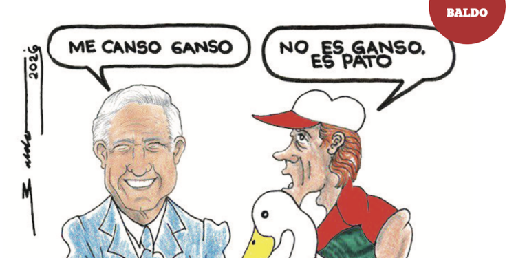 Me canso ganso