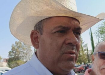 SEDEA reforestará 100 mil plantas en Amealco