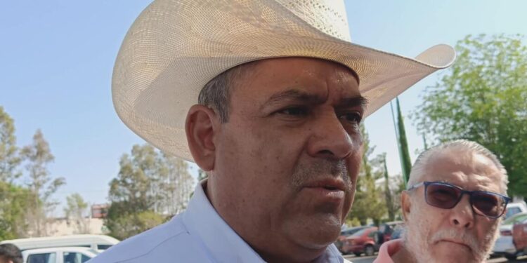 SADER reforestará 100 mil plantas en Amealco