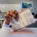 Concluye votación en Coahuila; INE reporta jornada tranquila y sin incidentes graves