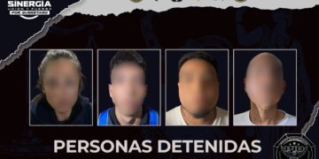 Sinergia realiza cateos por delitos contra la salud