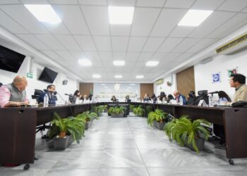 Presentan primera iniciativa ciudadana en el IEEQ; requiere respaldo de 3 mil 862 ciudadanos