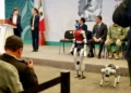 Presentan en mañanera robots con IA para C5 de Edomex