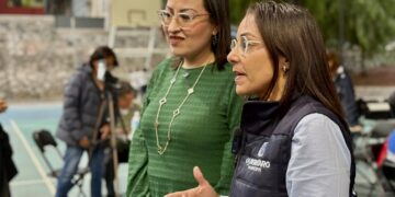 Preparan creación de Botón Verde, para reportar árboles con plagas