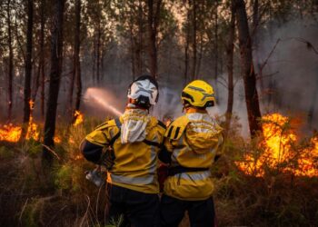 Incendio en Francia deja pérdidas millonarias y desploma el turismo en Gironda