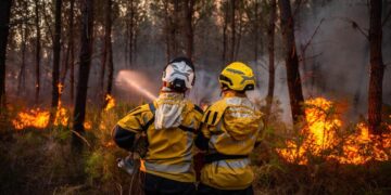 Incendio en Francia deja pérdidas millonarias y desploma el turismo en Gironda