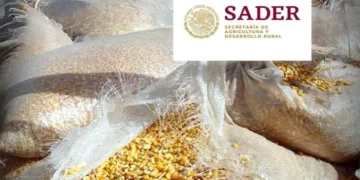 Sobornan en dólares para importar granos