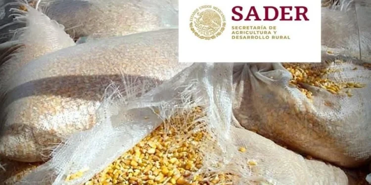 Sobornan en dólares para importar granos