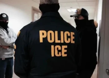Interpondrá México denuncias penales en EU contra ICE