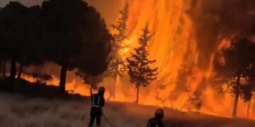 Desplazan incendios a 320 mil en Francia, España y Portugal