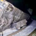 Descarrila en el Istmo ahora un tren de carga