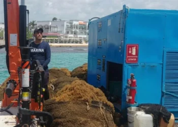 Apuestan a más barcos y barreras para evitar sargazo en QR