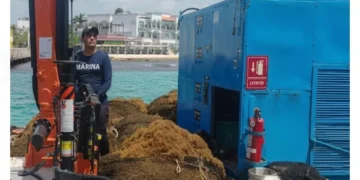 Apuestan a más barcos y barreras para evitar sargazo en QR