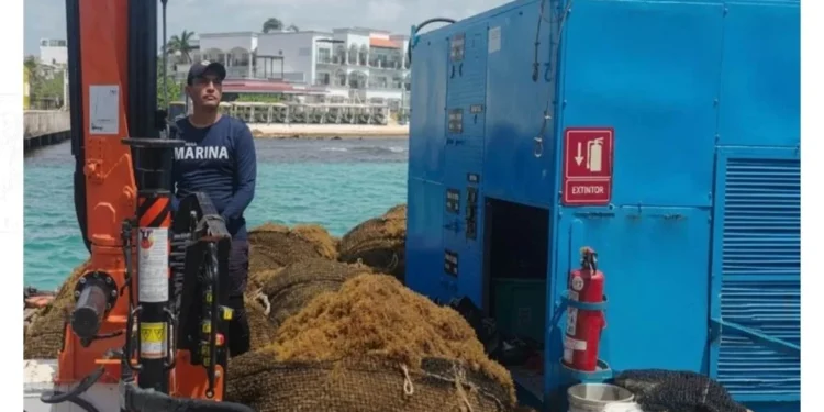 Apuestan a más barcos y barreras para evitar sargazo en QR