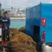 Apuestan a más barcos y barreras para evitar sargazo en QR