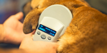 Reporta Bienestar Animal más de 8 mil microchips implantados en mascotas