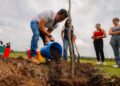Conmemora Felifer el Día Nacional del Árbol con jornada de reforestación