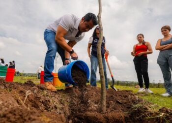 Conmemora Felifer el Día Nacional del Árbol con jornada de reforestación