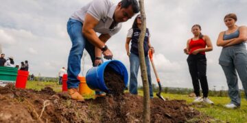 Conmemora Felifer el Día Nacional del Árbol con jornada de reforestación