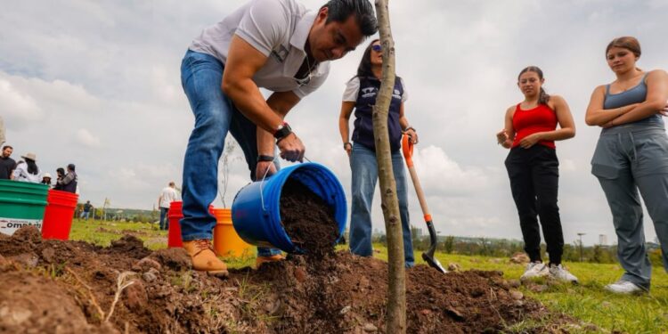 Conmemora Felifer el Día Nacional del Árbol con jornada de reforestación