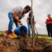 Conmemora Felifer el Día Nacional del Árbol con jornada de reforestación