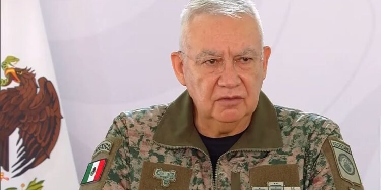 Defensa utilizaría drones para detectar artefactos explosivos en Michoacán