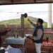 DIF de Querétaro impulsa proyectos de vivienda y autosuficiencia en los 18 municipios