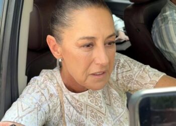 Alista Gobierno nueva liberación de moscas contra barrenador