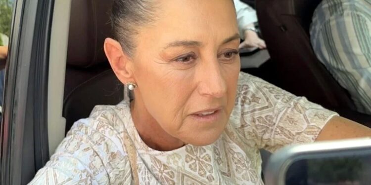Alista Gobierno nueva liberación de moscas contra barrenador