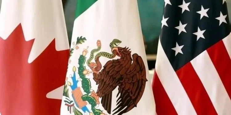 Advierten: pierde México con constantes revisiones