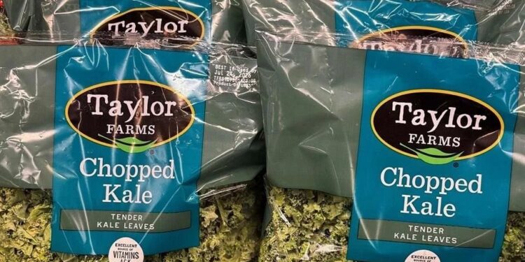 Descarta Cofepris Ciclospora en lechugas de Taylor Farms